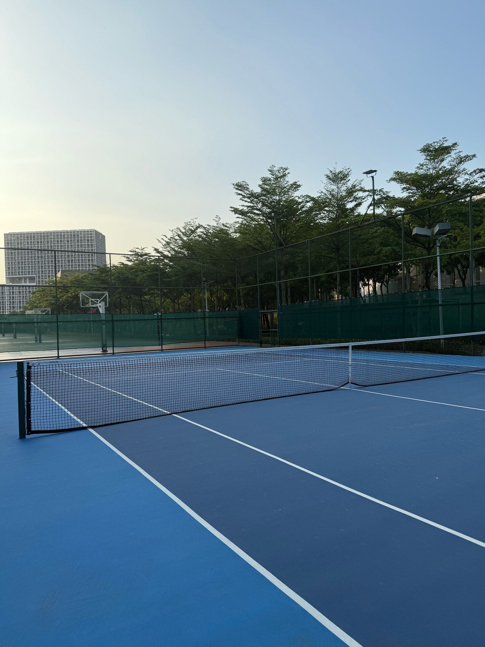 影响与解读 影响与解读