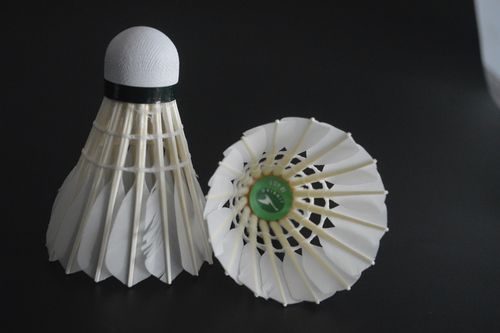 不在轮换 不在轮换