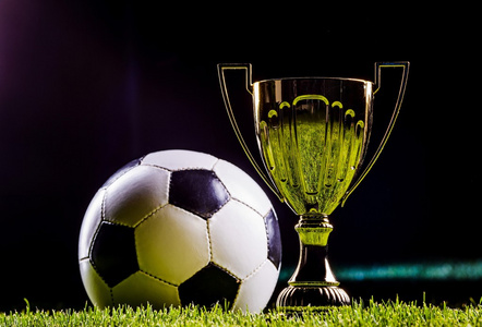 形成可被复 形成可被复